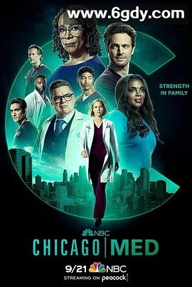 芝加哥急救 第八季(2022)完结22集全迅雷网盘全集下载