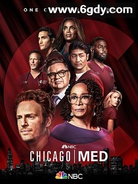 芝加哥急救 第七季(2021)完结22集全迅雷网盘全集下载