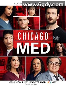 芝加哥急救 第三季(2017)完结20集全迅雷网盘全集下载