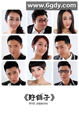 野鸽子(2012)完结已完结迅雷网盘全集下载