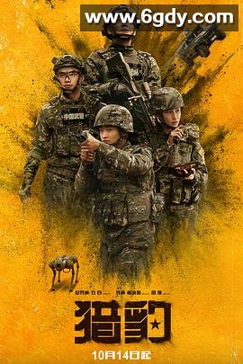 猎豹(2025)完结30集全迅雷网盘全集下载