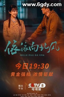 依依向北风(2025)完结38集全迅雷网盘全集下载