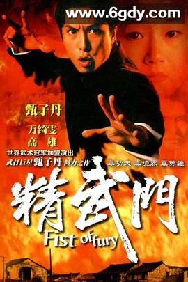 精武门(1995)完结全30集迅雷网盘全集下载