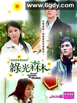 绿光森林(2005)完结已完结迅雷网盘全集下载