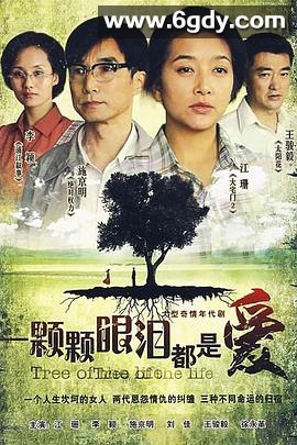一颗颗眼泪都是爱(2008)完结已完结迅雷网盘全集下载