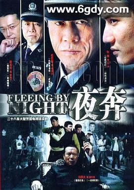 夜奔2007(2007)完结已完结迅雷网盘全集下载