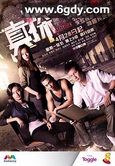 真探(2016)完结23集全迅雷网盘全集下载