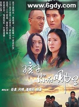 孩子你在哪里(2006)完结22集全迅雷网盘全集下载