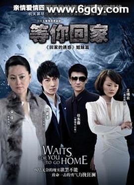 等你回家2013(2013)完结35集全迅雷网盘全集下载