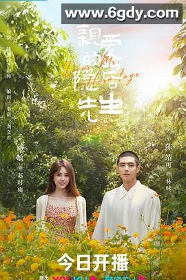 亲爱的隐居先生(2023)完结24集全迅雷网盘全集下载