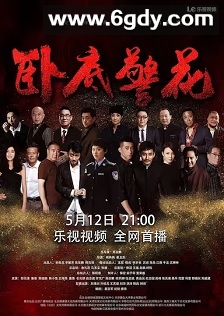 卧底警花(2023)完结全35集迅雷网盘全集下载