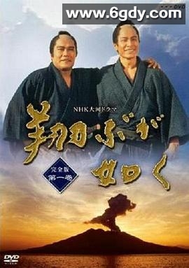 宛如飞翔(1990)完结已完结迅雷网盘全集下载