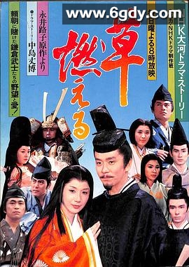 草燃(1979)完结已完结迅雷网盘全集下载