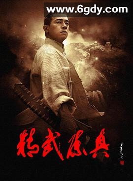 精武陈真(2008)完结全30集迅雷网盘全集下载