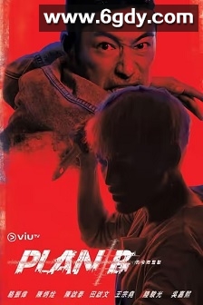 Plan B(2018)完结20集全迅雷网盘全集下载