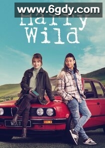 野探哈莉 第四季(2025)完结更新至第08集迅雷网盘全集下载