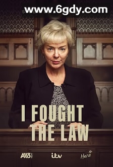 我与法律抗争(2025)完结4集全迅雷网盘全集下载