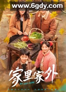 家里家外(2025)完结全79集迅雷网盘全集下载