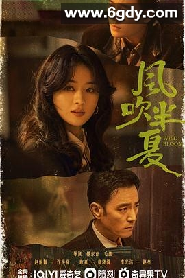 风吹半夏(2022)完结36集全迅雷网盘全集下载