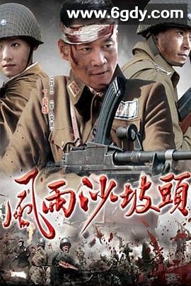 风雨沙坡头(2010)完结已完结迅雷网盘全集下载