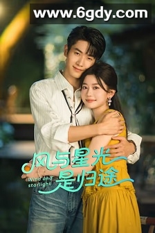 风与星光是归途(2025)完结全24集迅雷网盘全集下载