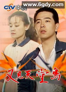 又见天堂鸟(1990)完结34集全迅雷网盘全集下载