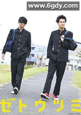 濑户内海2017(2017)完结更新至第11集迅雷网盘全集下载