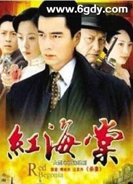 红海棠(2008)完结已完结迅雷网盘全集下载