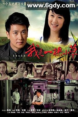 我是一棵小草(2009)完结43集全迅雷网盘全集下载