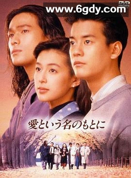 在爱的名义下(1992)完结更新至第12集迅雷网盘全集下载
