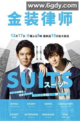 金装律师(2018)完结11集全迅雷网盘全集下载