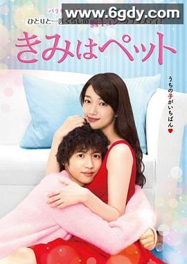 宠物情人(2017)完结全16集迅雷网盘全集下载