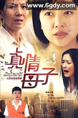 真情母子(2010)完结已完结迅雷网盘全集下载