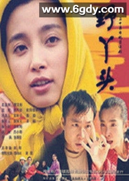 野丫头(2001)完结已完结迅雷网盘全集下载