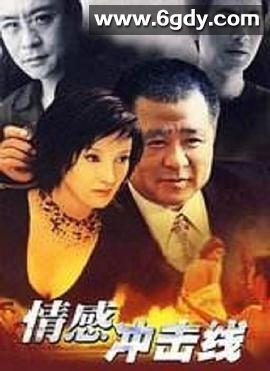 情感冲击线(2002)完结已完结迅雷网盘全集下载