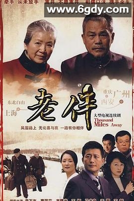 老伴(2007)完结已完结迅雷网盘全集下载