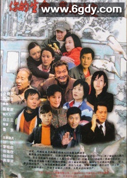 你的生命我的决定(2007)完结已完结迅雷网盘全集下载