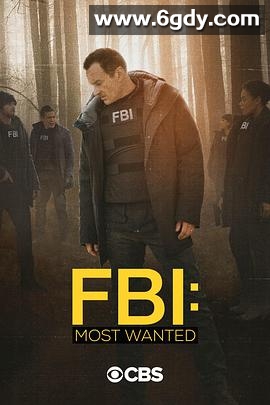 联邦调查局：通缉要犯 第二季(2020)完结15集全迅雷网盘全集下载