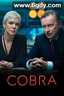 内阁作战室 第一季(2020)完结6集全迅雷网盘全集下载