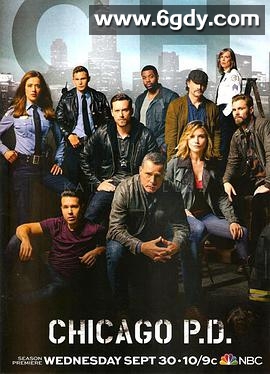 芝加哥警署 第三季(2015)完结23集全迅雷网盘全集下载