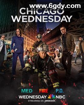 芝加哥急救 第十季(2024)完结22集全迅雷网盘全集下载