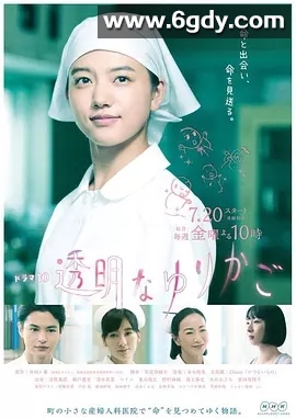 透明的摇篮(2018)完结10集全迅雷网盘全集下载