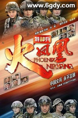 特种兵之火凤凰(2013)完结已完结迅雷网盘全集下载