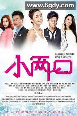 小两口(2013)完结30集全迅雷网盘全集下载