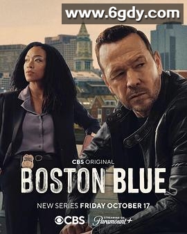 警察世家：波士顿(2025)完结更新至第09集迅雷网盘全集下载