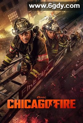 芝加哥烈焰 第十三季(2024)完结22集全迅雷网盘全集下载