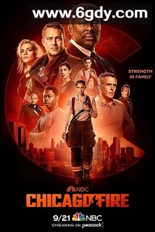 芝加哥烈焰 第十一季(2022)完结22集全迅雷网盘全集下载