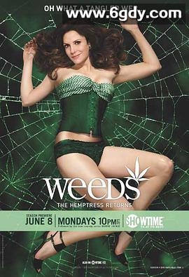 单身毒妈 第五季(2009)完结13集全迅雷网盘全集下载