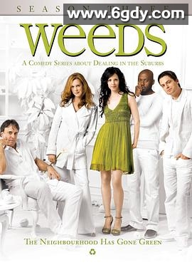 单身毒妈 第三季(2007)完结15集全迅雷网盘全集下载