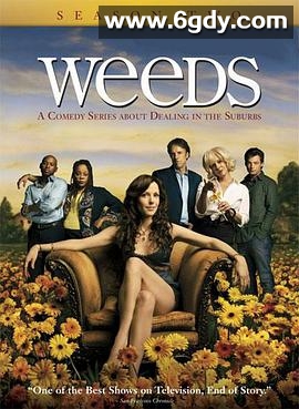 单身毒妈 第二季(2006)完结12集全迅雷网盘全集下载